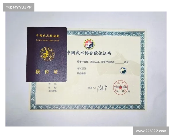 武术段位认证直通车启航 海南赛成绩可直接申免晋升八段